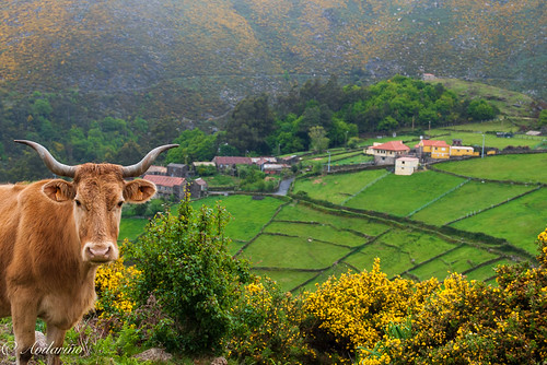 Serra do Suido | by Antonio Vilariño