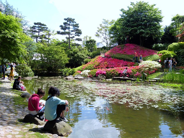 Bassin, jardin Japonais
