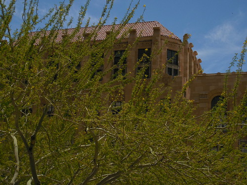 Phoenix