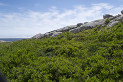 Herring Cove Provincial Park Reserve