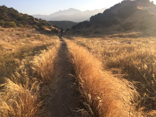 PCT: Day 26