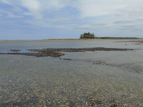 Powels Point Park Oyster Beds by Pwc7475 off for a while,