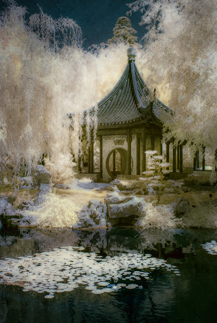 Huntington Chinese Garden - Textured IR