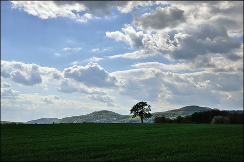 L'arbre dans le paysage by Excalibur67, <a href="http://www.fluidr.com/photos/mjeanmarc" rel="nofollow">Fluidr</a>trees cloud nature landsca