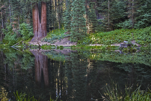 california camping green nature water reflections fishing solitude alone quiet hiking lakes calm silence greenery nationalparks westcoast bigtrees sequoianationalpark quietness canonphotography sequoiatrees gianttrees californialandscapes westcoastlandscapes
