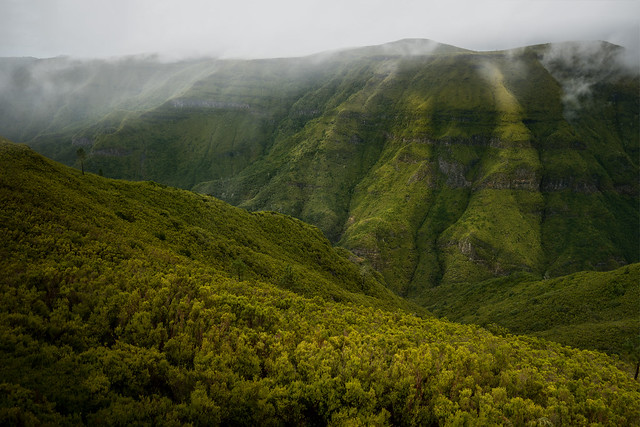 Madeira - green miles