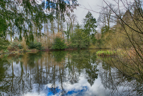 elmdonmanor nature warwickshirewildlifetrust wildlife water reflections trees sky clouds blue