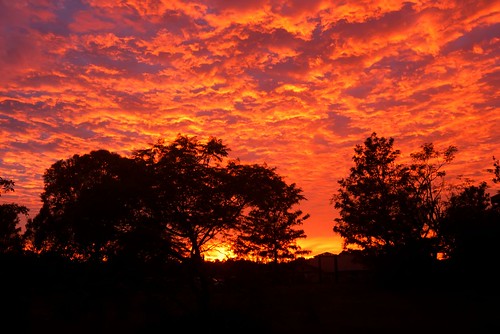 aus australia newsouthwales woodville nikond750 nikon1635mmf4 landscape sunrise altocumulusclouds