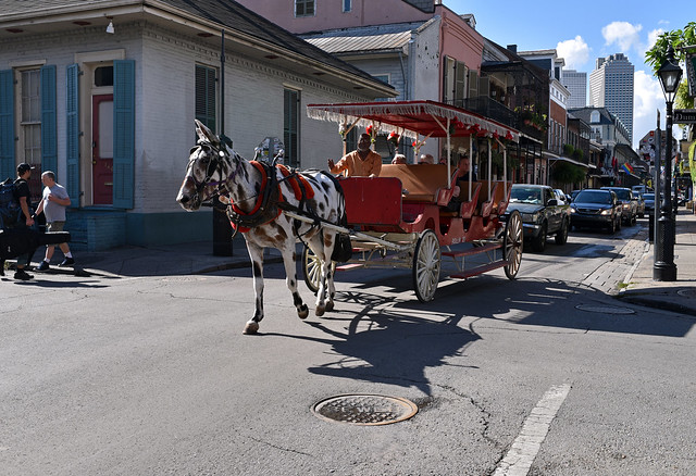 One horse open-Carriage New Orleans