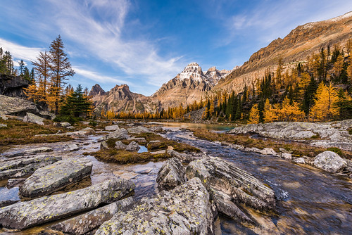 travel landscape national park parcs canada british columbia nature stream river canadian rockies mountain mountains parks nikon d810 uwa ultrawide angle day sky clouds daytime vacation holiday opabin plateau yoho