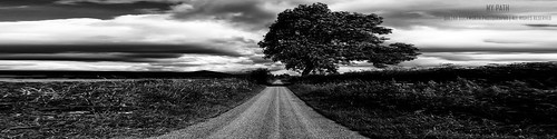 she blackandwhite tree clouds landscape scenery mood path atmosphere cumbria eden pike sheena edenvalley dufton duftonpike mypath sheenaduckworthphotography