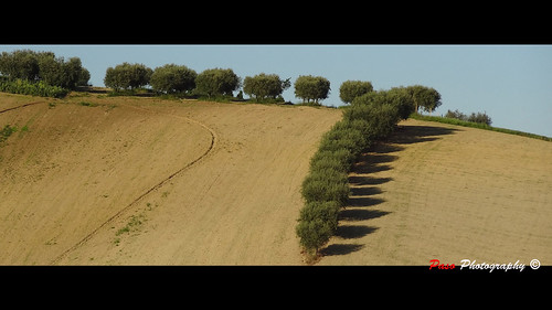 landscape_01658 by Ƥαƨσ∂ιαcκ, 