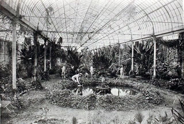pabellón original de la Exposición Internacional de Santiago de 1875  luego convertido en invernadero. Este es uno de los pabellones dedicados al acero en el que se presentaban Francia y Bélgica. PL-001589