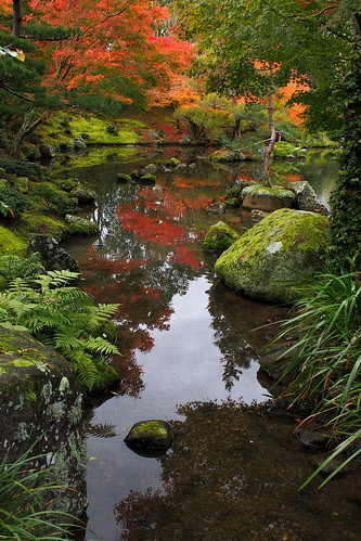 autumn gardens garden japanese hamilton olympus f18 omd 17mm em5 mzuiko
