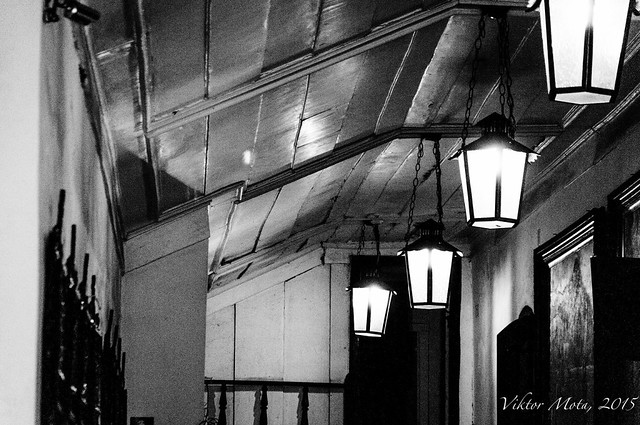 _DSC2550