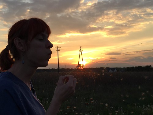Dandelion Sunset in Poland by Destructive Compliments,