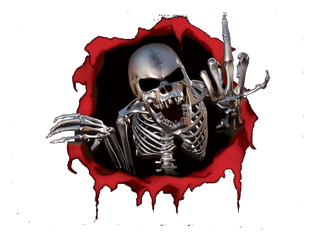 Skull Rude Scary Skull 1024 768 Nature Exchange Trader Feature: Emily Ross