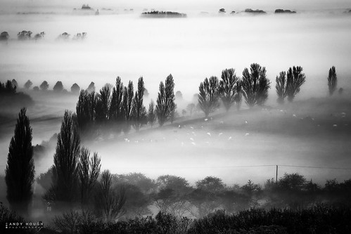 trees england white mist black monochrome misty landscape mono blackwhite unitedkingdom outdoor sony gb fields a77 littlewittenham sonyalpha andyhough slta77 andyhoughphotography