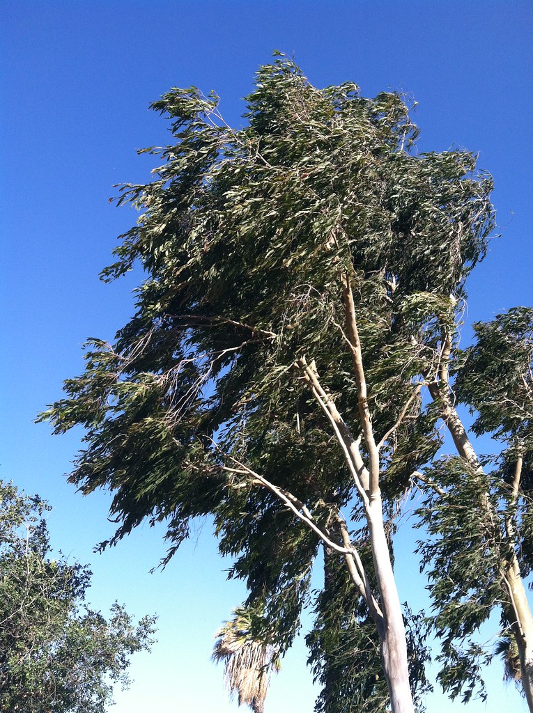 Edna Spaulding Trail