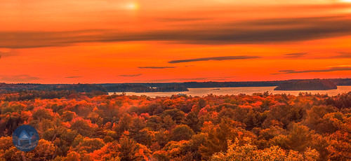 ca trees light sunset red lake ontario canada fall night forest bracebridge muskoka bluecamel3d huckleberryrocklookoutmuskoka2015
