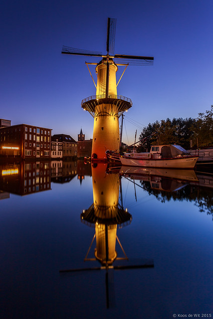 Mill The Camel at blue hour