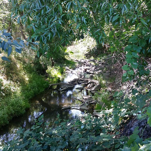 The beautiful sights I get to see in my own back yard. Vacaville California Andrews Park!!! Another walk in the park!!!!! #Surfing #fitness #nutrition #lean #connection #crystal #yoga #bodybuilding #crystals #npc #NationallyCertified #nutrition #freedom # | by alton24