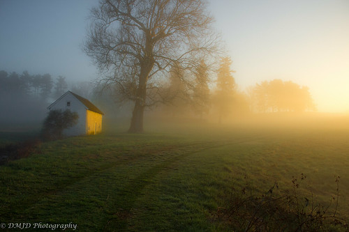 park morning trees sky sunlight mist fog sunrise nikon df outdoor path magic foggy national valley hour forge