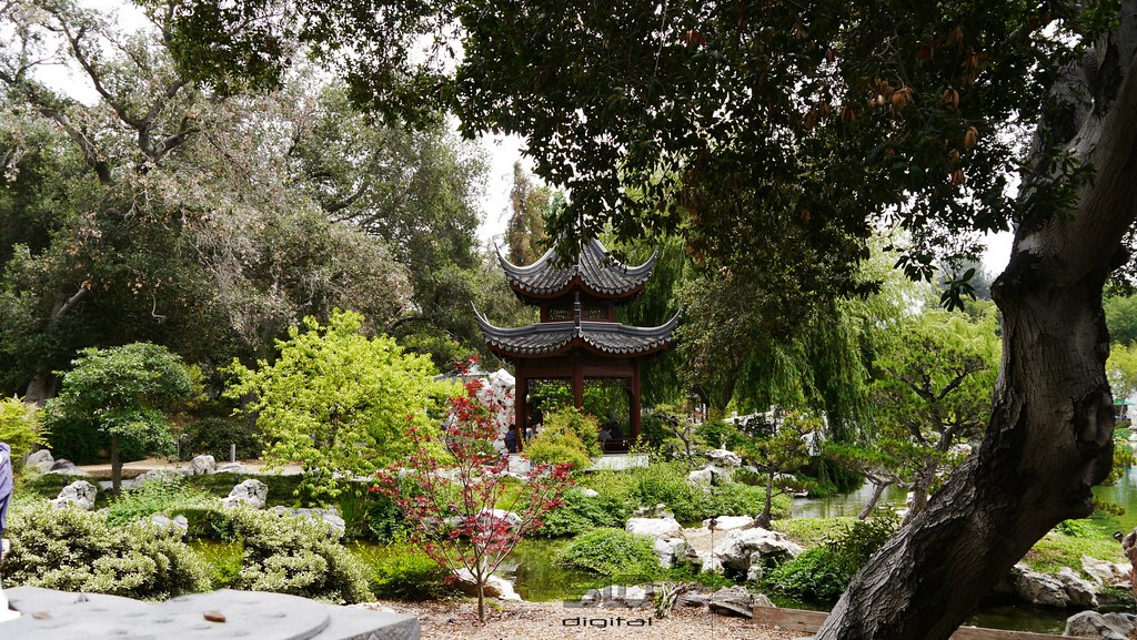Japanese Gardens Huntington Museum Pasadena California 2 Flickr