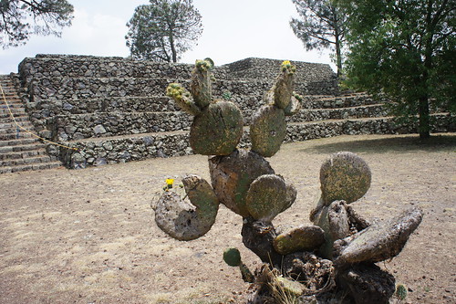 - Cantona Archaeological Site, Puebla, Mexico