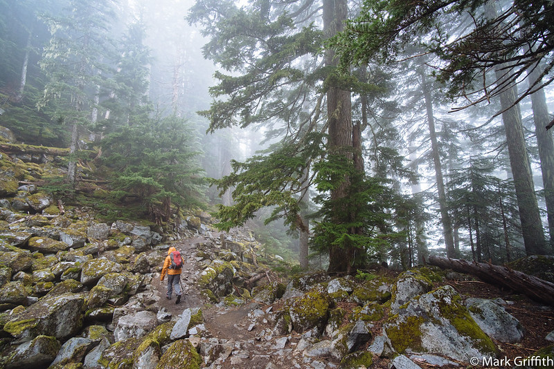 Toward the Ridge