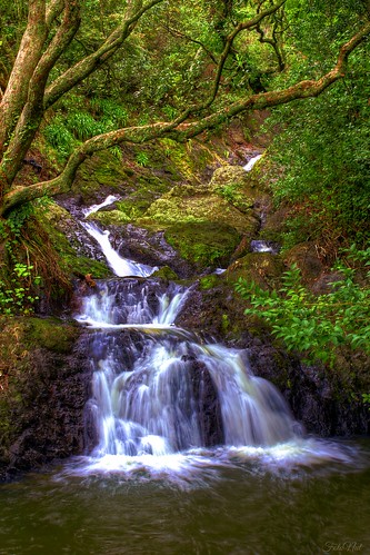 waterfall trees whakatane wairaka water outdoors landscape creek stream outdoor serene