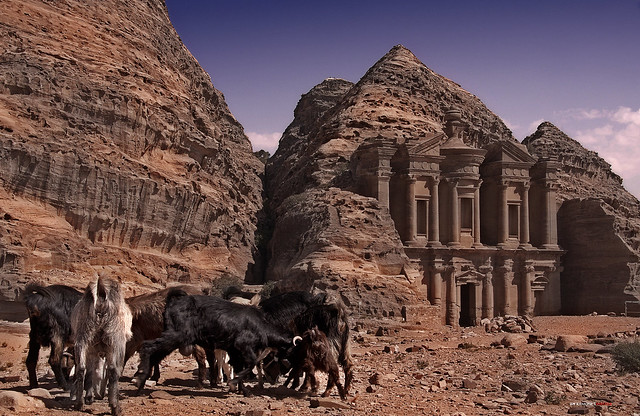 Las cabras de Petra -The goats of Petra
