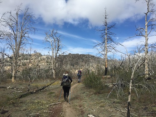 PCT: Day 45