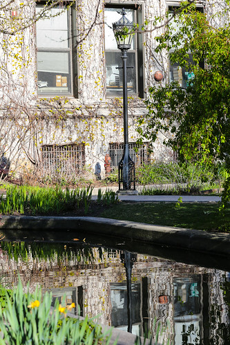 Botany Pond, University of Chicago