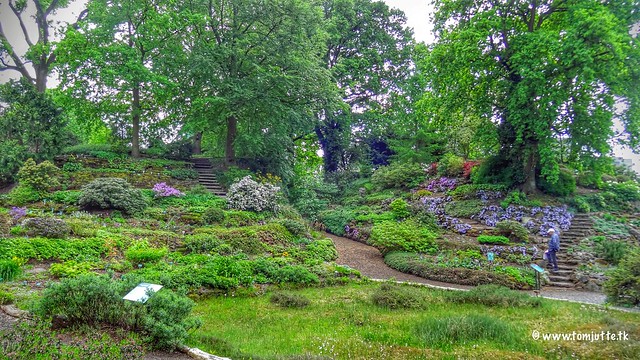 Botanische Tuinen, Utrecht, Netherlands - 4253