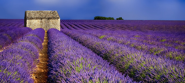 Senteurs de Provence.......