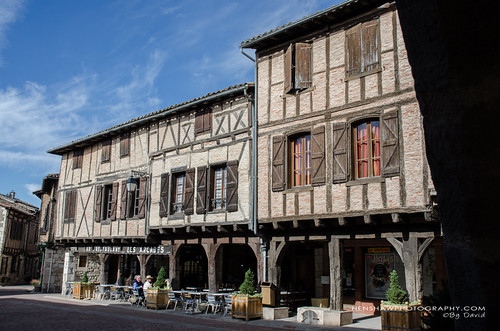Castelnau de Montmiral, Mid Pyrenees | by Digidiverdave