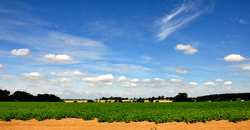 dslr fields burystedmunds july suffolk summer farm nikond90 outdoor littlewhelnetham project366 sundaywalk afsdxvrzoomnikkor18105mmf3556ged