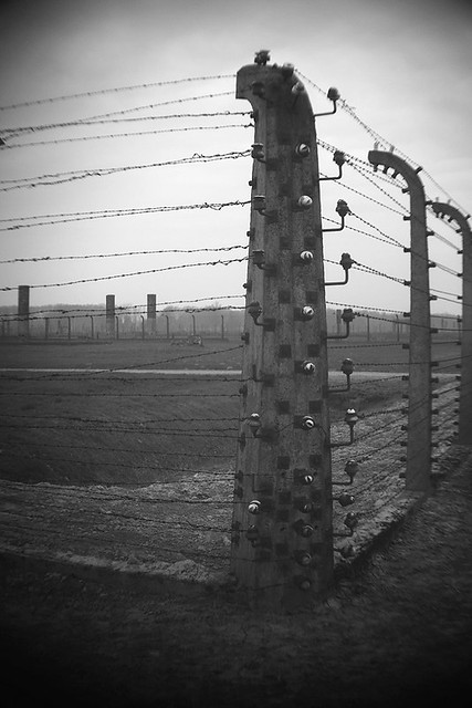 Electrified - Auschwitz II Birkenau Death Camp