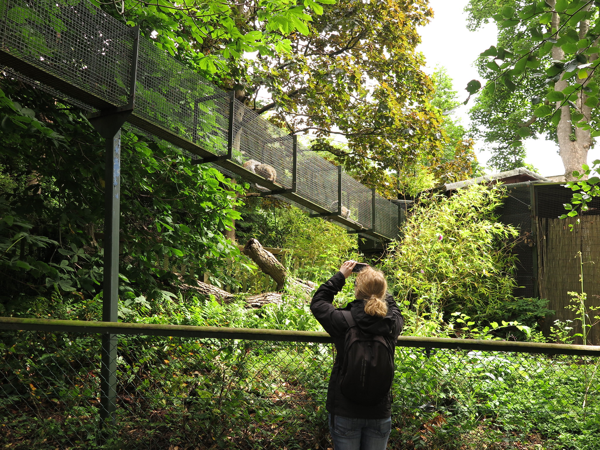 Zoo {Day 2} (Edinburgh)