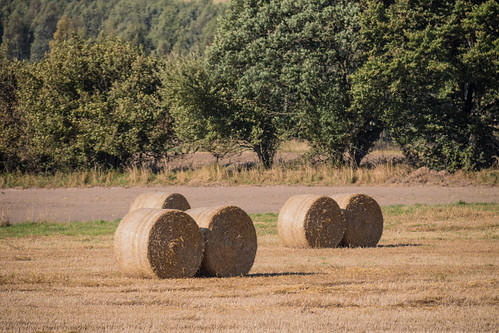 Countryside | by Infomastern