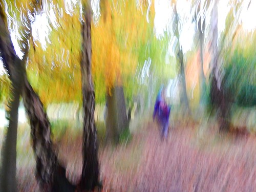 Impressionist wood Tring Circular (camera on never-previously-tried &quot;Ultra Vivid Color&quot; setting)