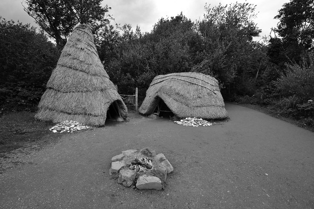 Prehistoric Ireland B&W