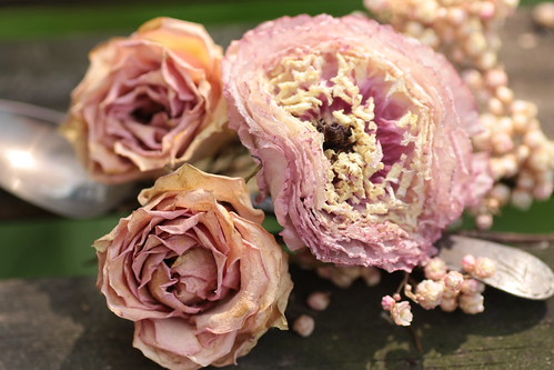 faded beauty | by epicDi