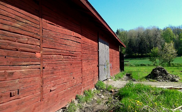 Along the old barn