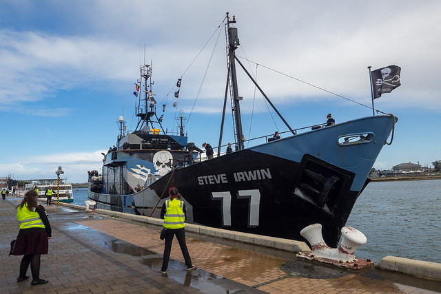 the steve irwin in port adelaide - 8191446