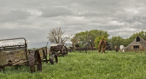 horses mountains utah farming rustic barns farmland oldbarns weathered farms storms weatheredwood farmanimals stormyweather oldwest ruralamerica oldfarmequipment oldfarms oldstructures canonphotography greenlandscapes canonphotograpy mountainsettings