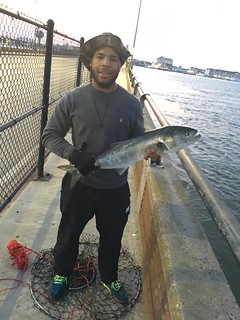 Photo of Man holding bluefish
