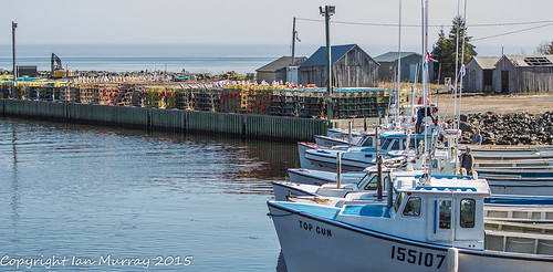 lobsterboats toneyriver