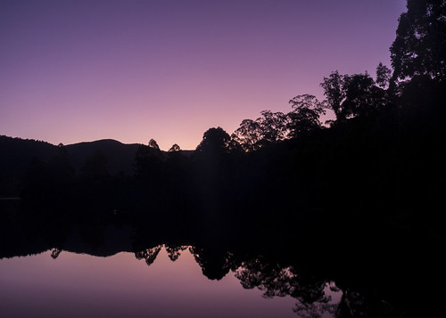 trees sunset silhouette purple australia tullah westcoasttasmania lakerosebery olympusomdem5 1240mmf28